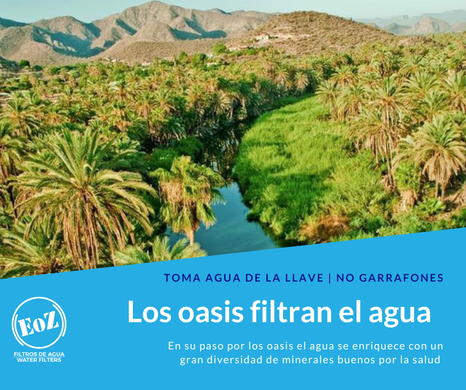 el agua y los minerales buenos para la salud en mexico