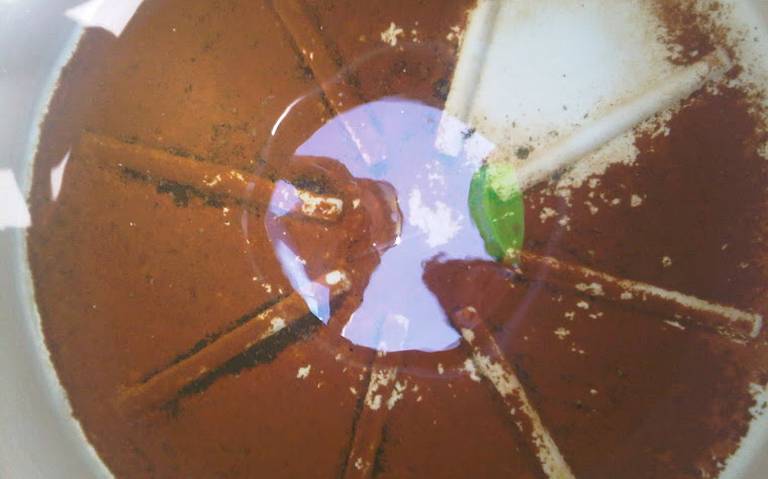 Como resolver el mal sabor o olor del agua por moho algas o tierra