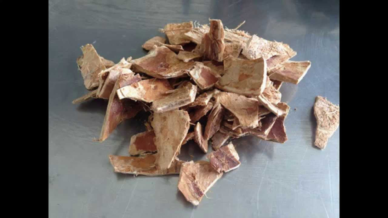 la concha de coco natural se usa para producir el carbon activado de la más alta calidad