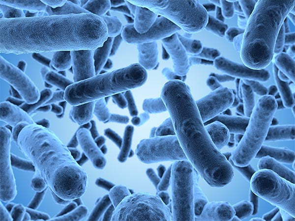 Bacterias en el agua y sus efectos en la salud de las personas (enfermedades propagadas por el agua traducido de la Organización Mundial de la Salud)