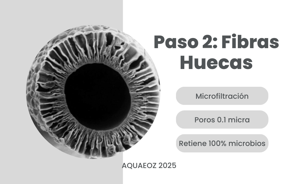 membrana fibra hueca vista en filtro de agua aquaeoz 2025 poros 0.1 micra para eliminacion microbios desinfección agua 