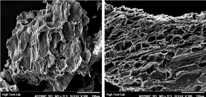 vista microscopio carbon activado de bloque con alta porosidad para atrapar contaminantes